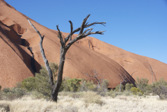 Base de l'Uluru