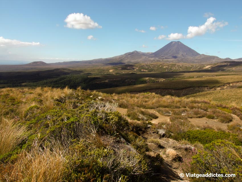 Vista del P. N: Tongariro, en la isla norte de Nueva Zelanda