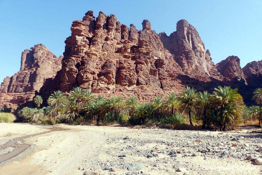 En un punt ample del uadi (Al Disah)