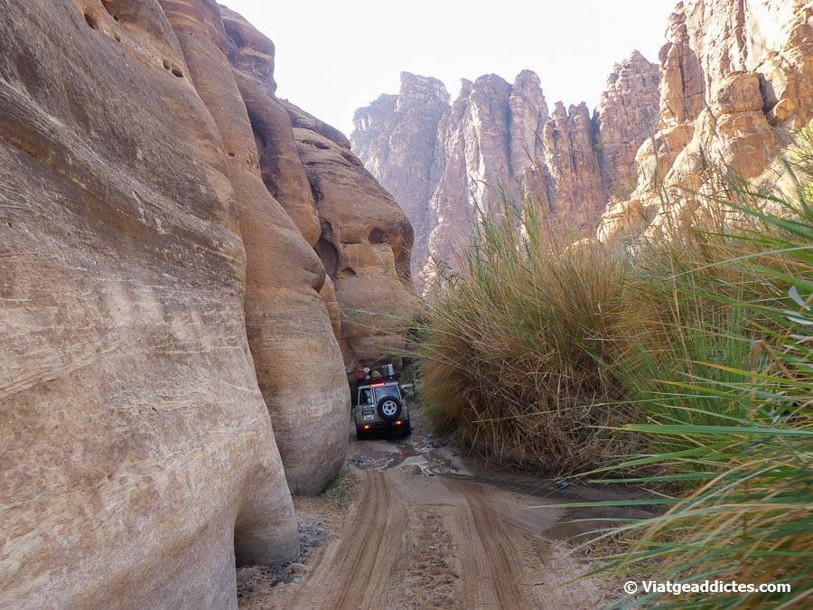 Conduint per l'interior del uadi Al Disah (Al Disah)