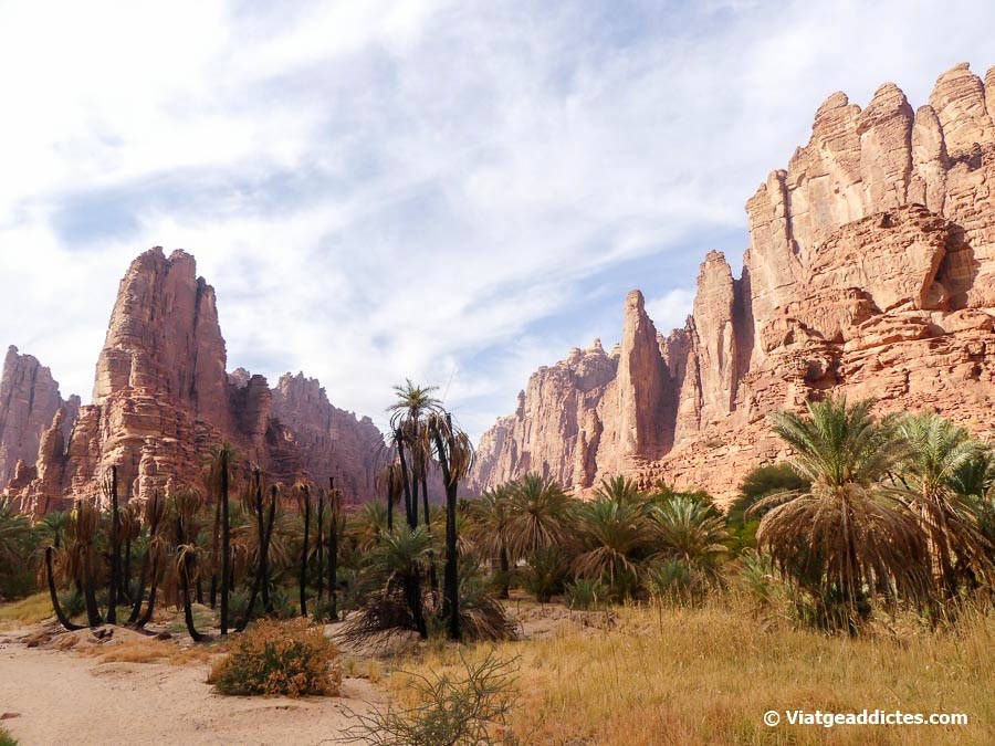 Paisatge en el trajecte des d'Al Disah fins a l'entrada sud del uadi (Al Disah)