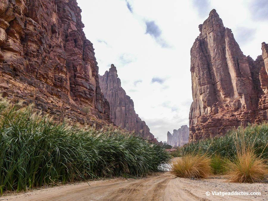 Prop de l'entrada sud del uadi Al Disah (Al Disah)