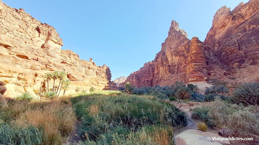 Vista elevada sobre un punt del uadi (Al Disah)
