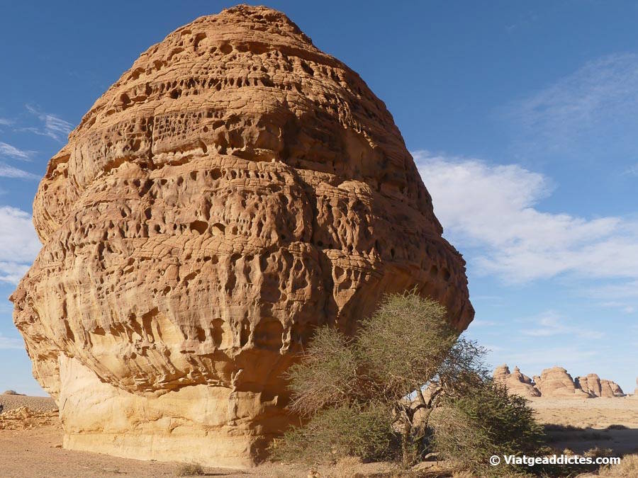 Vista posterior de la roca on està tallada la tomba de Qsar al-Farid (Hegra, Al-Ula)