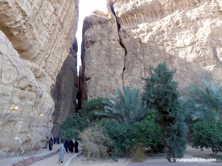 Camí d'entrada al canyó que condueix al Shalal Caffe (Al-Ula)