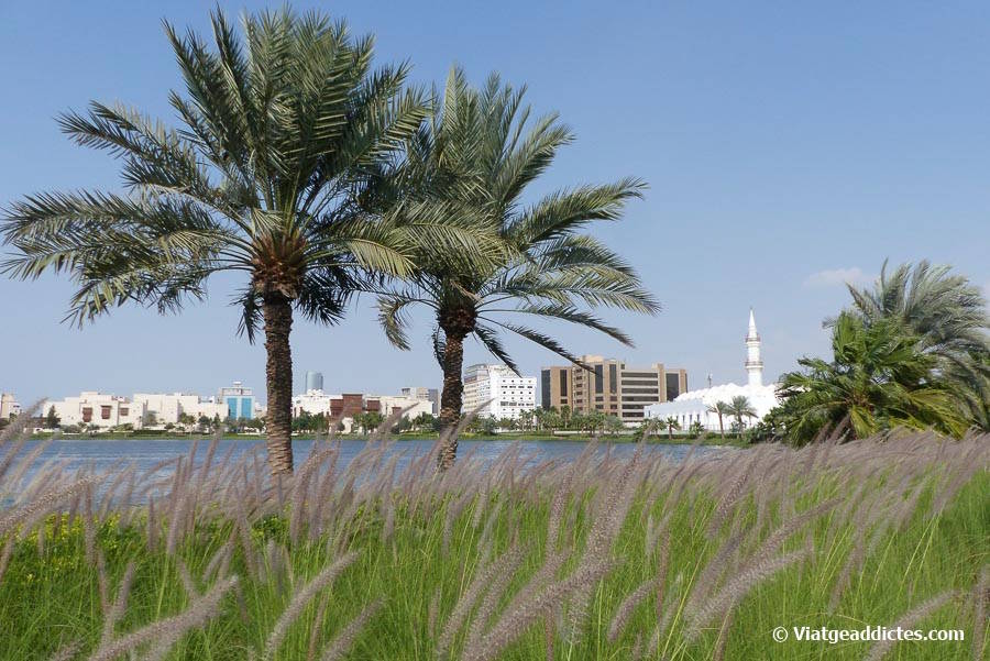 Vista del parc Al-Arbaeen, amb la mesquita Jaffali al fons (Jiddah)
