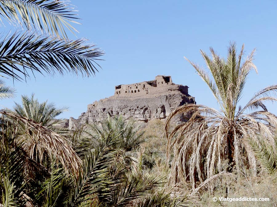 L'oasi de la ciutat vella de Khàybar, amb el fort al fons (Khàybar)