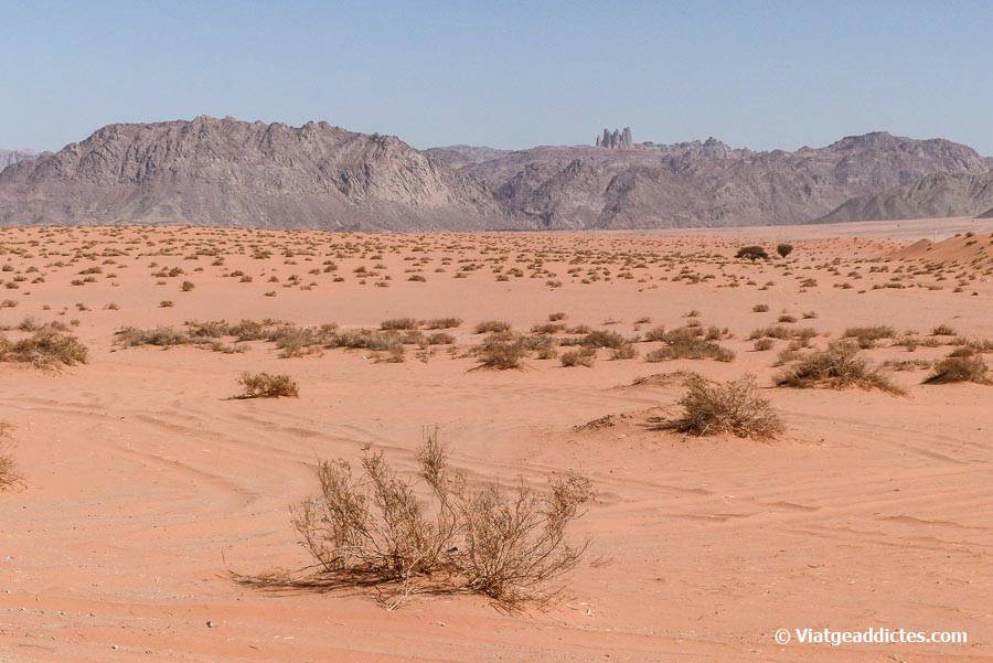 Paisatge de sorra vermella al principi de la ruta 8761 cap al Wadi Al Disah