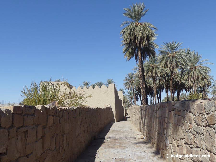 Recorrent l'antic mercat Al Najem (Tayma)