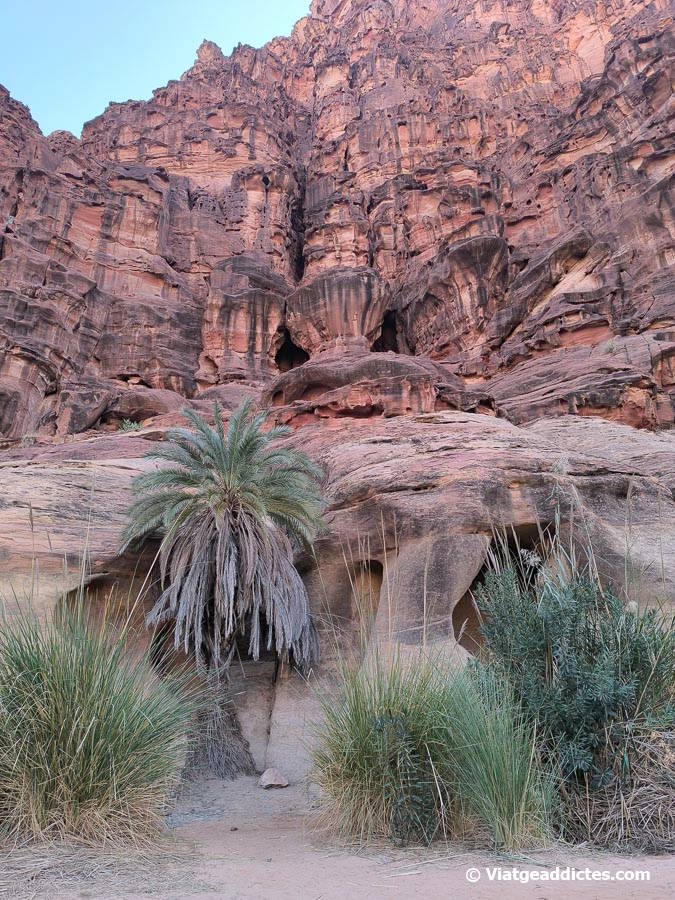 Un dels racons interiors d'aquest extraordinari lloc natural (Al Disah)