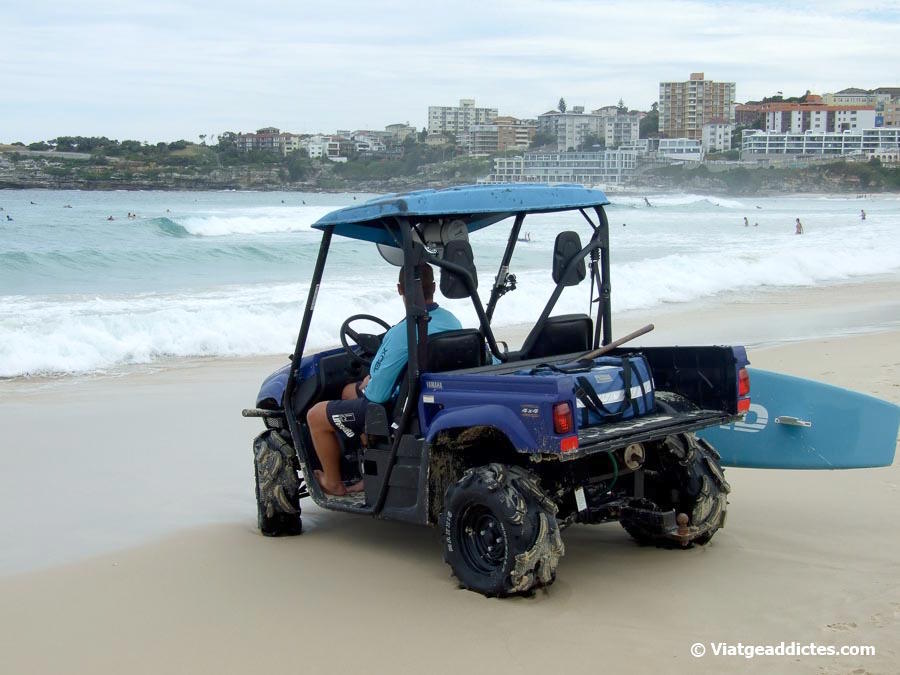 «Vigilant» la platja de Bondi (Sydney, Austràlia)