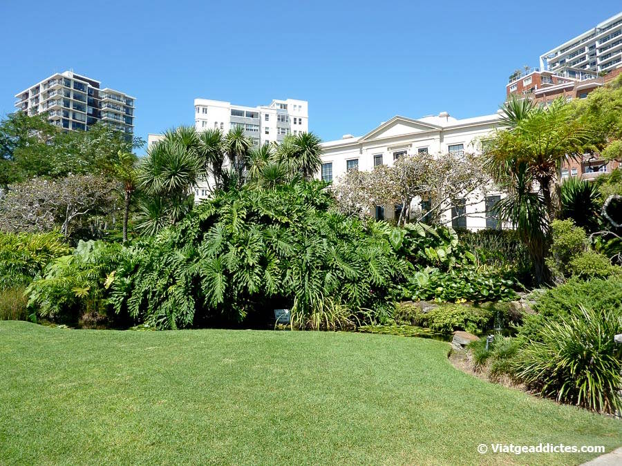Vista parcial de l'Elizabeth Bay House des del parc Arthur McElhone (Sydney, Austràlia)