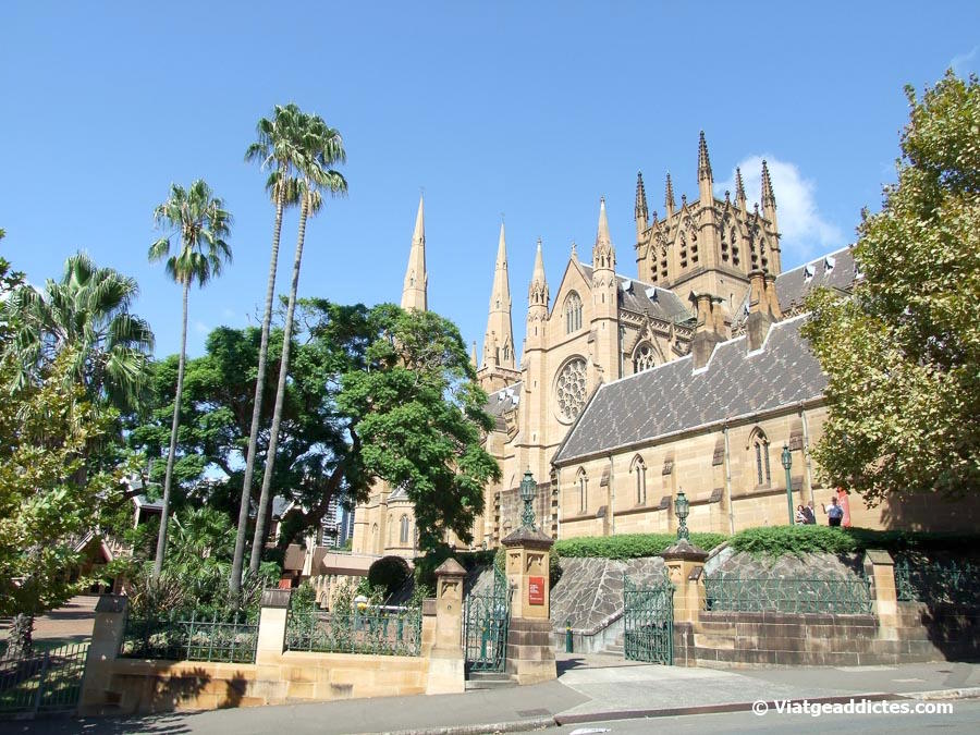 Vista lateral de la Catedral de Sta. Maria (Sydney, Austràlia)