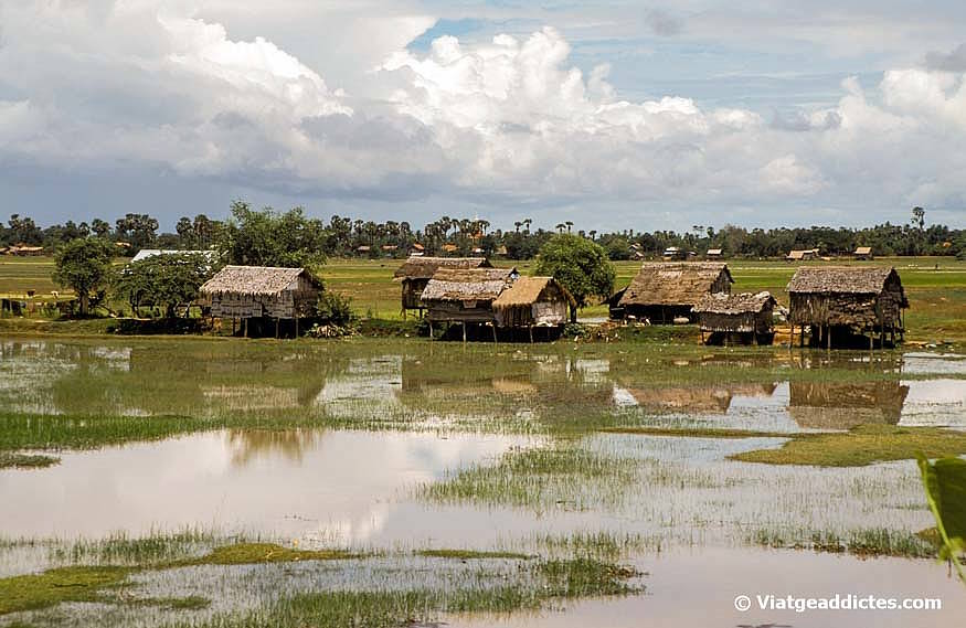 Paisatge rural cambodjà en els voltants de Kampong Thom