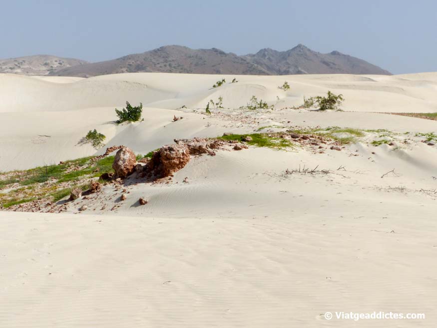 Dunes de sorra en el bonic Deserto de Viana