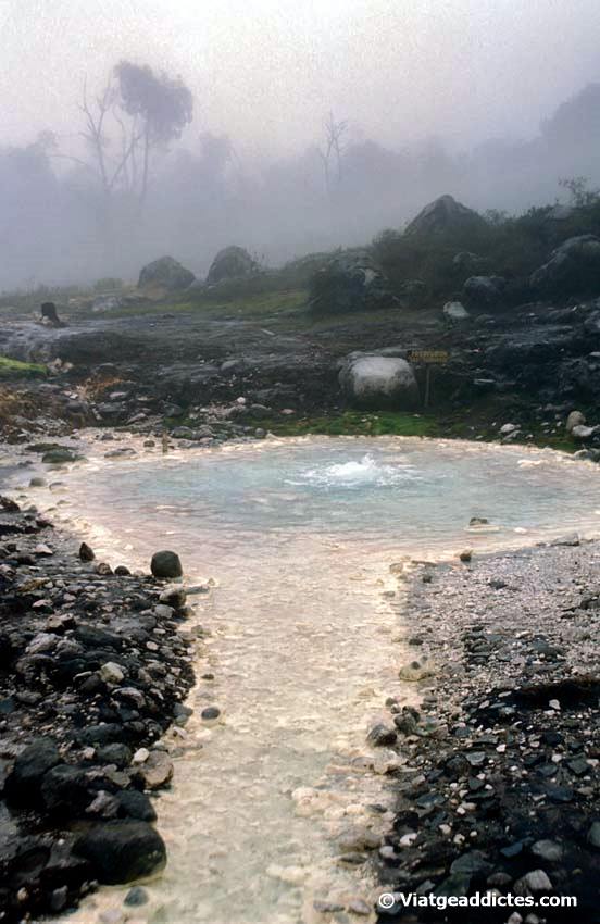 Bassal d'aigua bullent al Parc Nacional del volcà Puracé