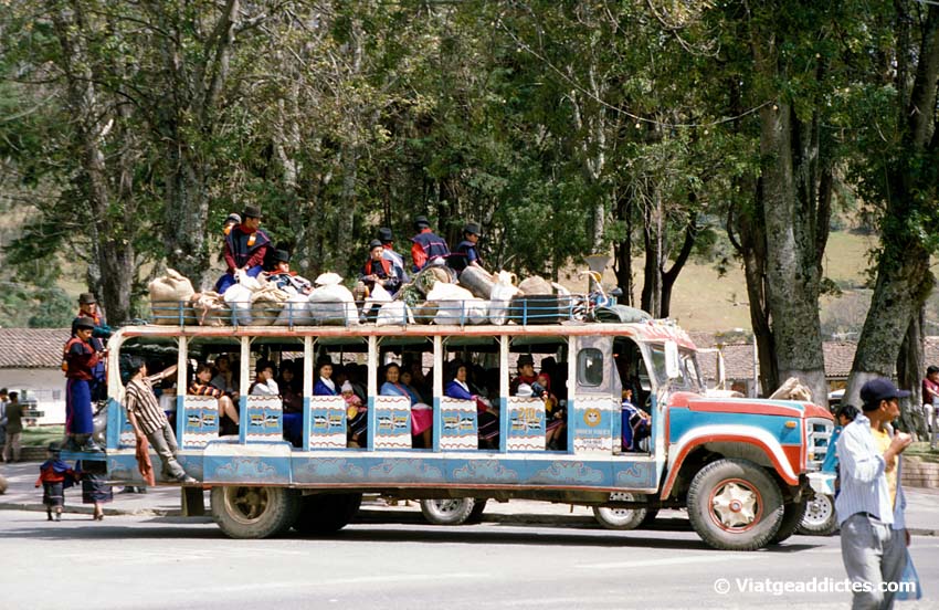 Autobús local cargado de indígenas, Silvia