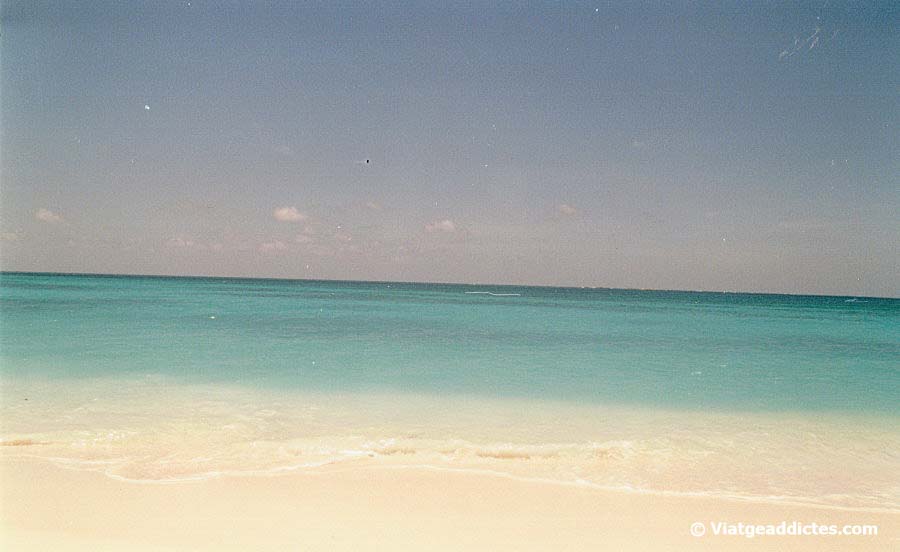 Playa de arena blanca y aguas turquesas (Cayo Largo del Sur)