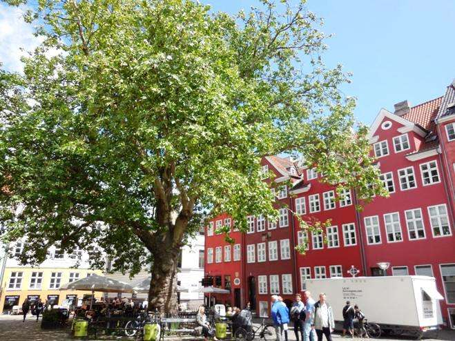 Imagen de una plaza del centro de Copenhague