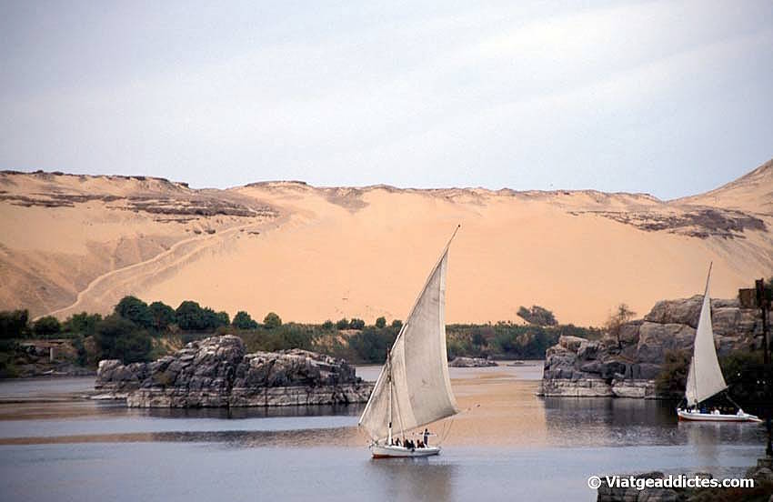Falucas navegando por el Nilo en Aswan