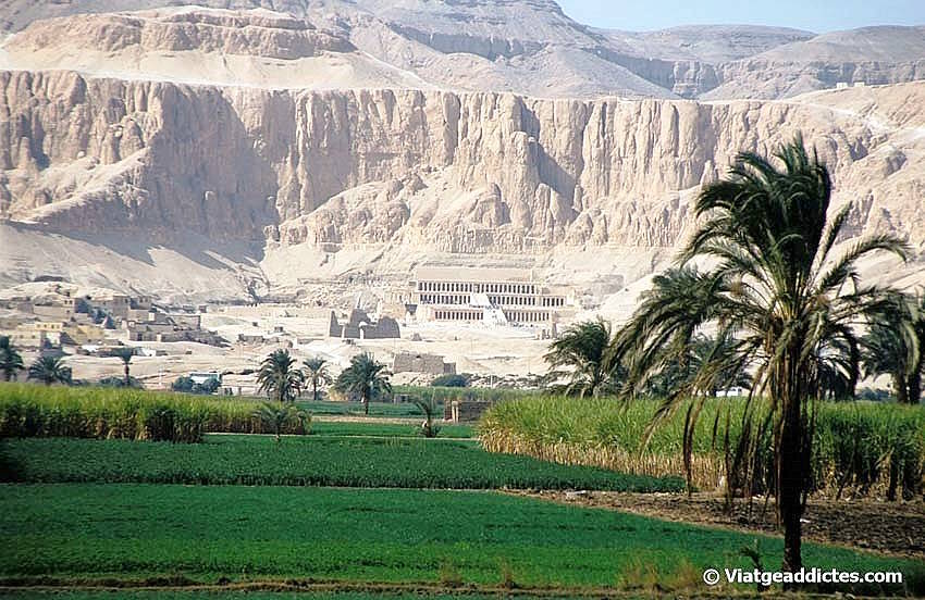 Deir el-Bahari y el templo de Hatshepsut