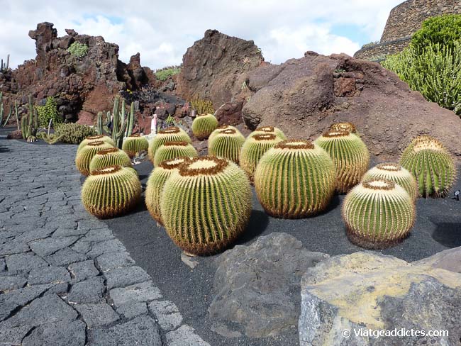Jardín de Cactus en Guatiza (Lanzarote)