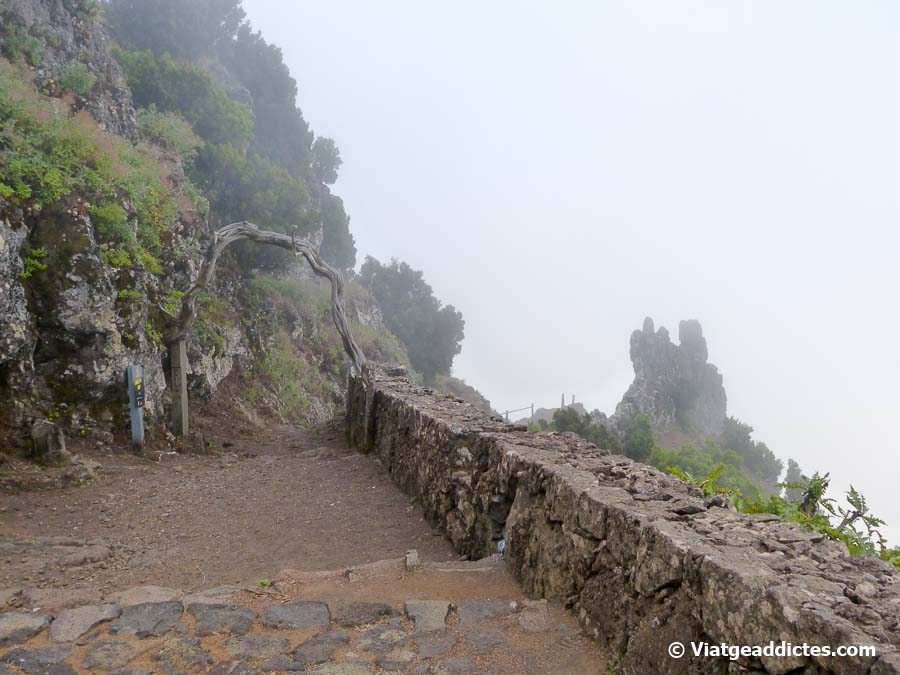 Inicio del Camino de Jinama (PR-EH 8), entre la niebla, junto al mirador de Jinama (La Frontera, El Hierro)