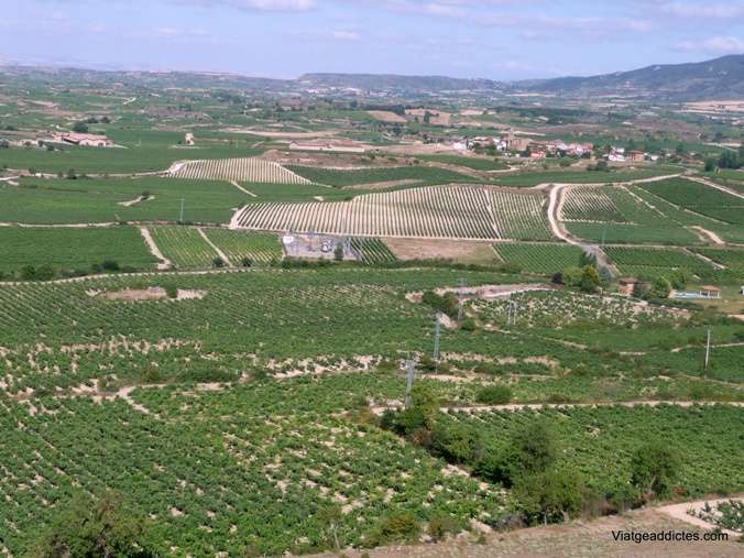 Paisaje de la Rioja alavesa