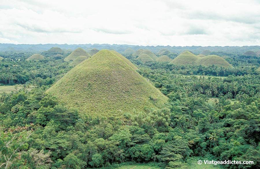 Vista sobre els famosos Turons de Xocolata (Carmen, illa de Bohol)