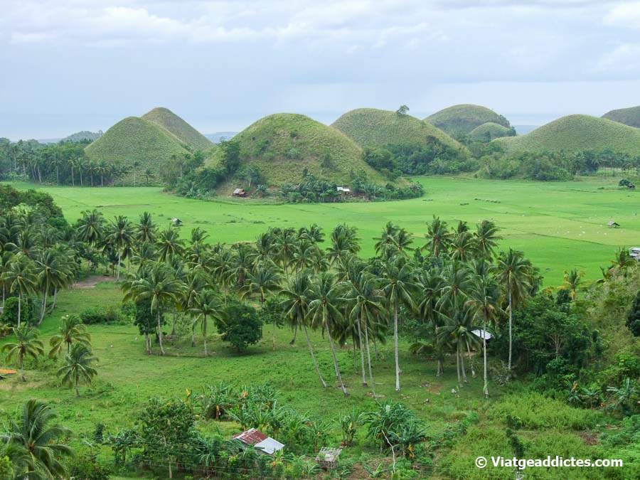 Vista de les Chocolate Hills des de Sagbayan Peak (Bohol)