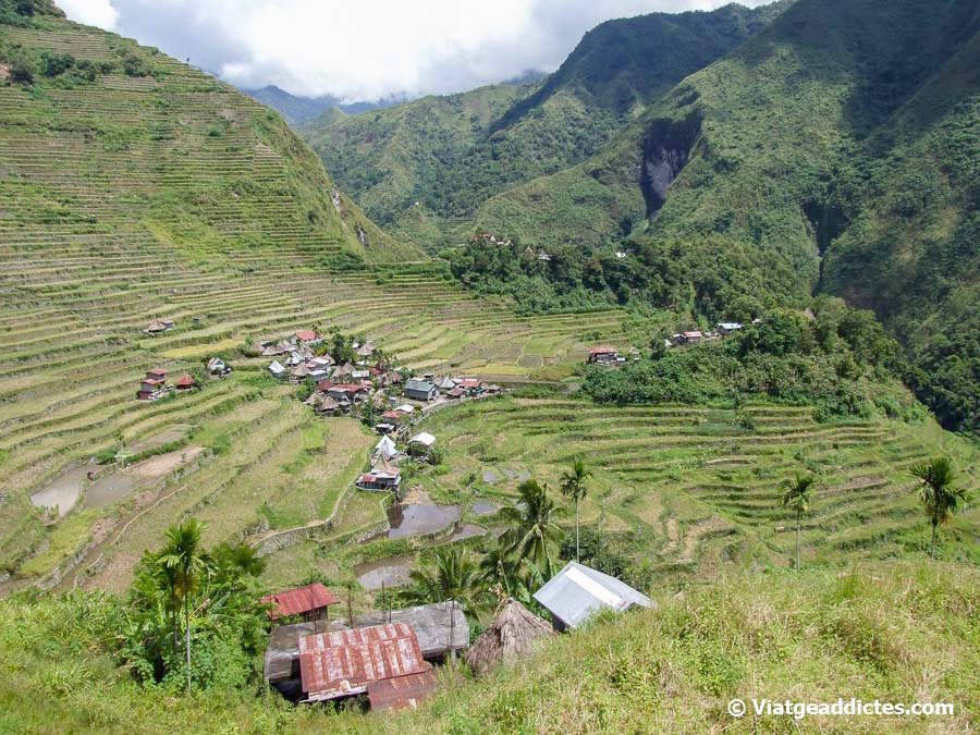 Vista panoràmica de les terrasses d'arròs de Batad (Ifugao, Luzon)