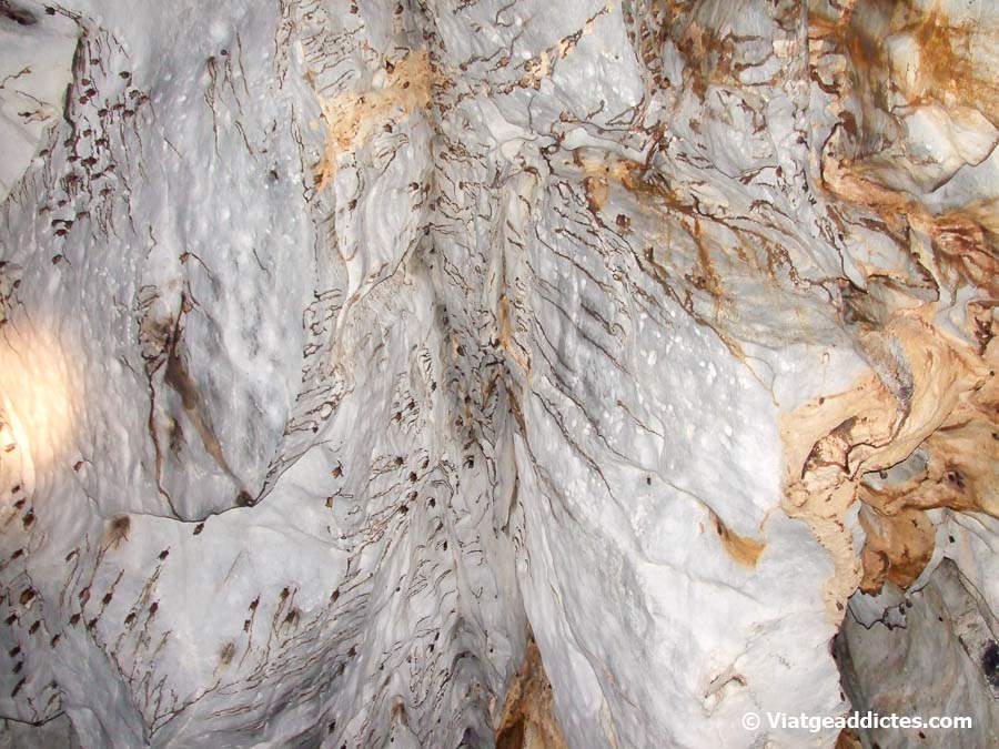 Muerciélagos en el techo de la cueva del río subterráneo (Sabang, Palawan)