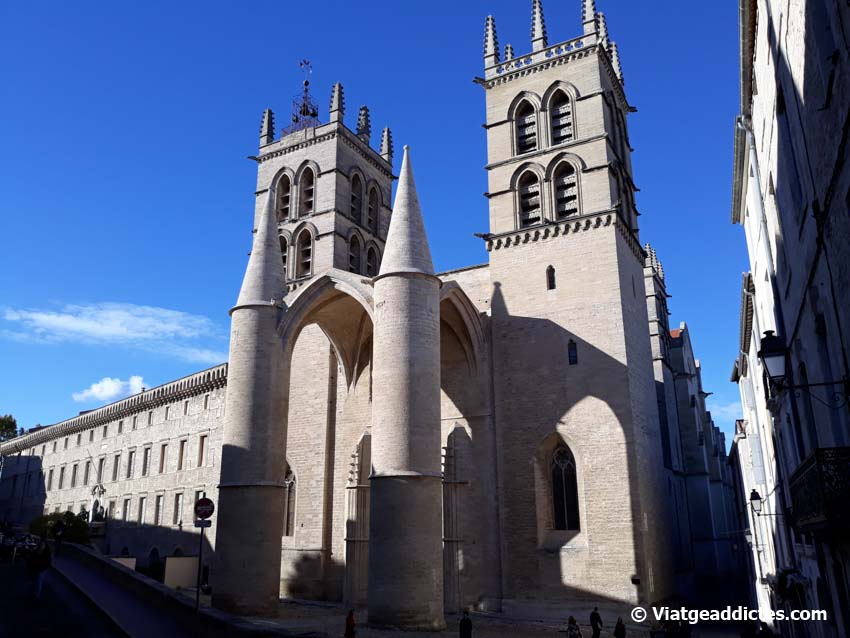 La Catedral de Saint Pierre (Montpellier)