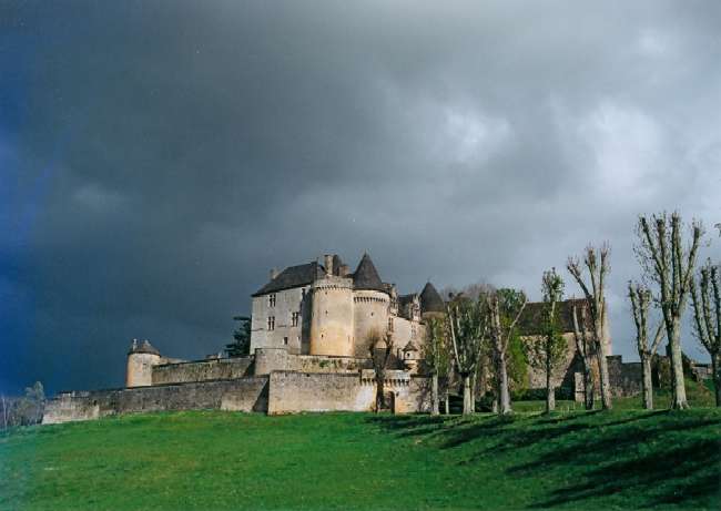 Castell de Fenelon