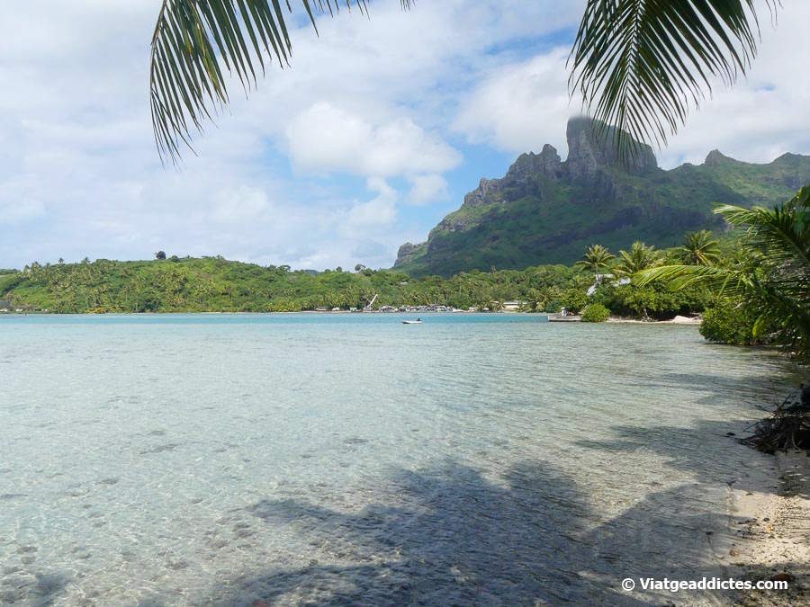 La costa i el mont Otemanu des de la platja propera al lloc «estació de neteja de mantes» (Bora Bora, illes de la Societat)