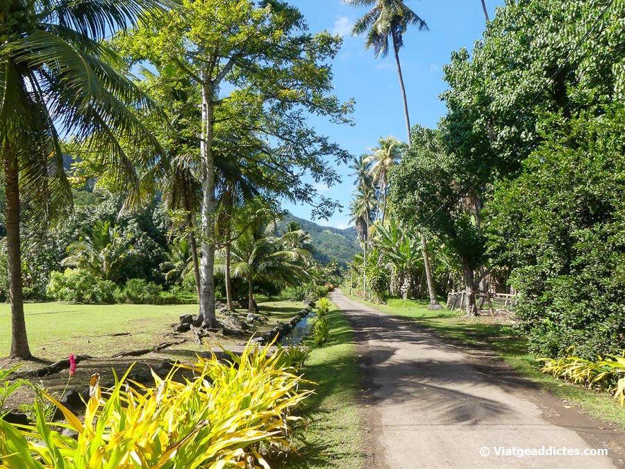 Camí d'accés a la badia i platja de Hanaiapa (Hanaiapa, Hiva Oa, illes Marqueses)