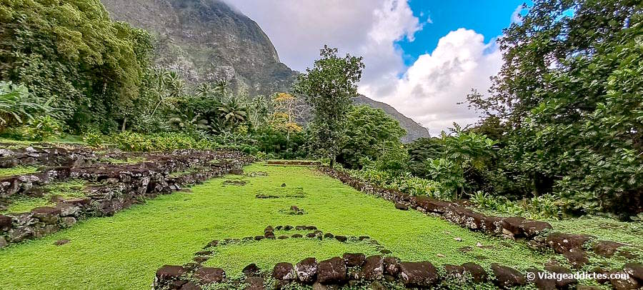 Imatge del «tohua» del centre cerimonial Upeke (vall de Ta'a'oa, Hiva Oa, illes Marqueses)