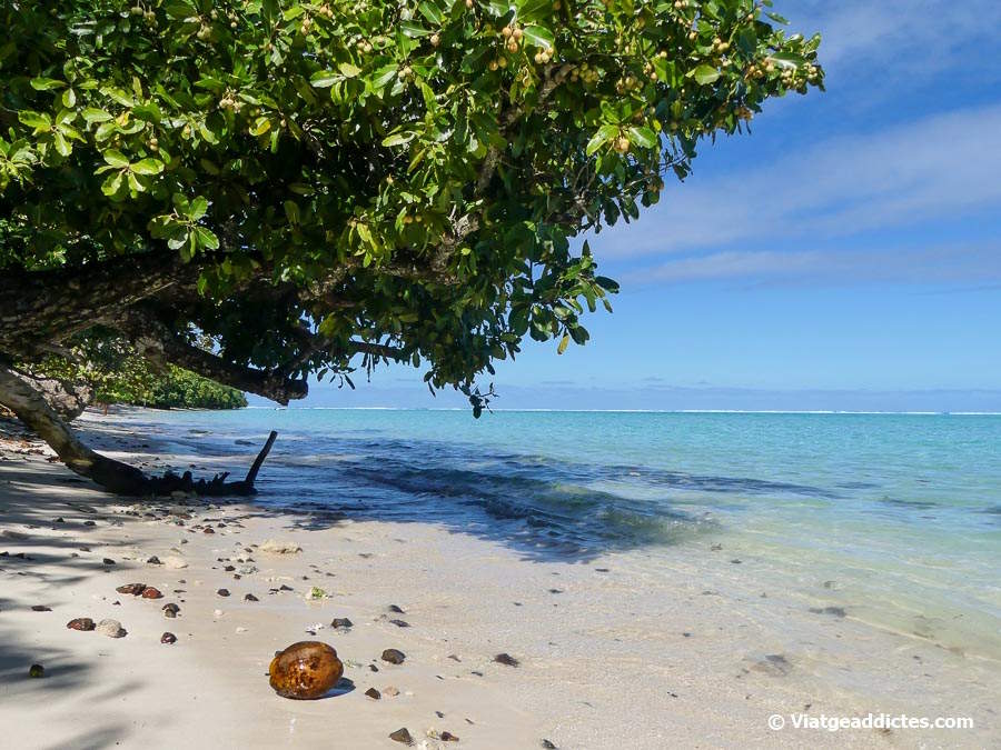 A la platja d'Avea (Huahine Iti, illes de la Societat)