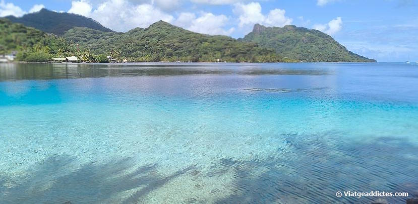 Vista des de la riba de Fare (Fare, Huahine Nui, illes de la Societat)