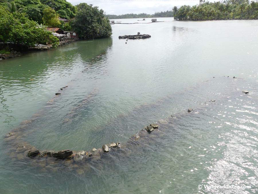 Trampes de pedra per a la pesca submergides per la marea (Maeva, Huahine Nui, illes de la Societat)