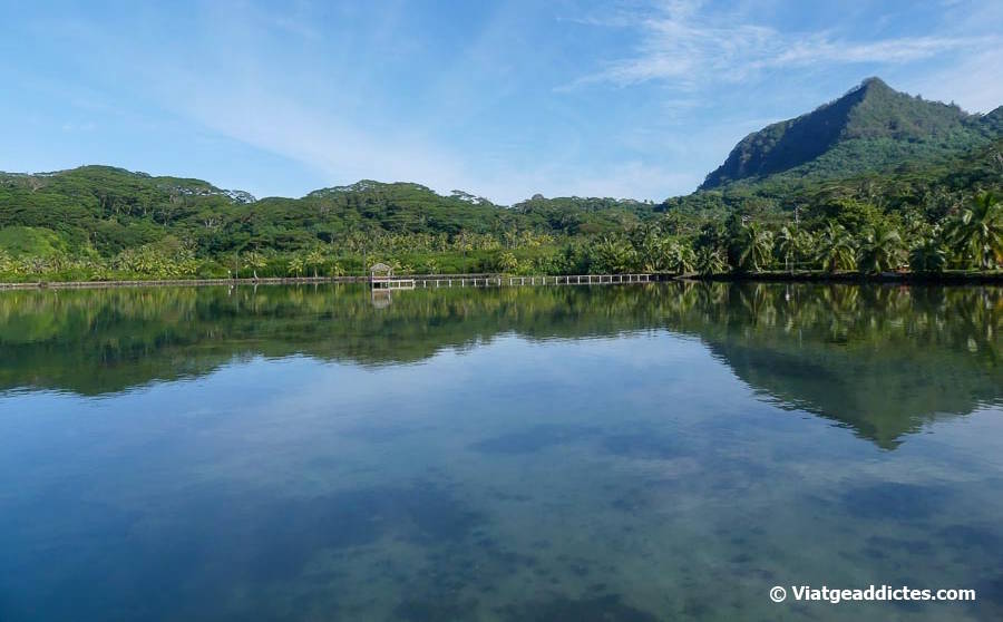 Moll de fusta i reflexos sobre l'aigua de la badia de Maroe (Huahine Nui, illes de la Societat)