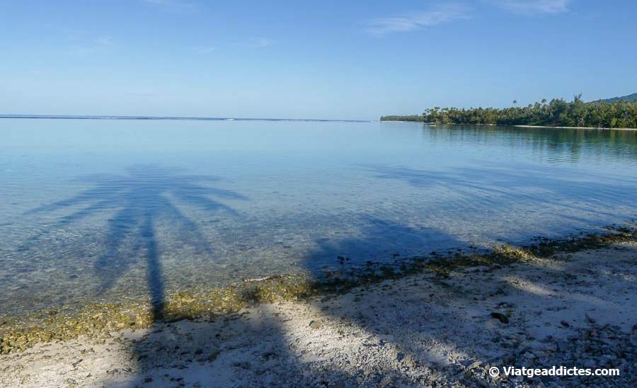 Platja del «jardi de corall» en l'extrem sud del motu Vairei (Huahine Nui, illes de la Societat)