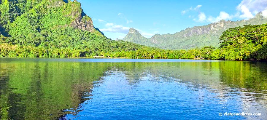 La badia d'Opunohu (Mo'orea, illes de la Societat)