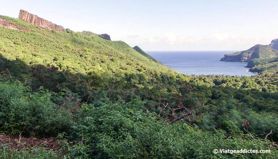 En el camí de baixada cap a la badia Haaotupa (Nuku Hiva, illes Marqueses)