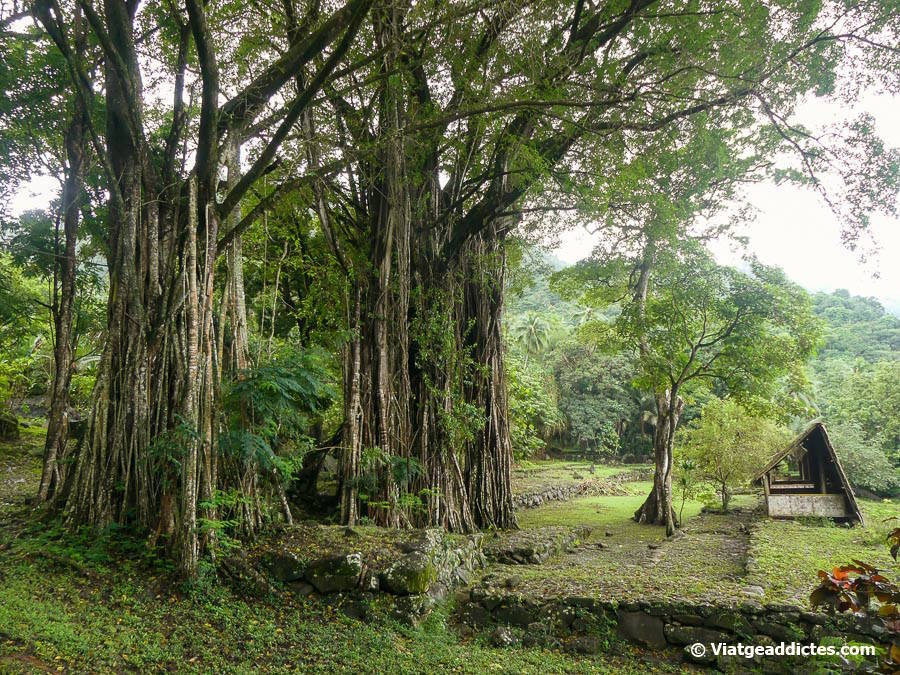 El lloc arqueològic de Tohua Koueva (Taioha'e, Nuku Hiva, illes Marqueses)