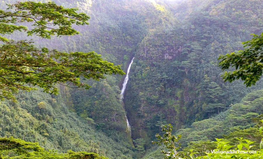 Cascada sobre la vall de Taipivai (Nuku Hiva, illes Marqueses)