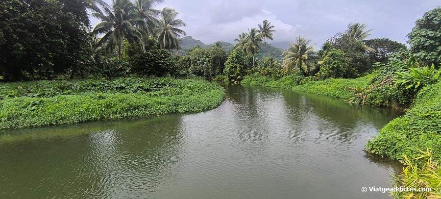 El riu Apoomau vist des del Jardí Botànic de Fa'aroa (Fa'aroa, Ra'iātea, illes de la Societat)