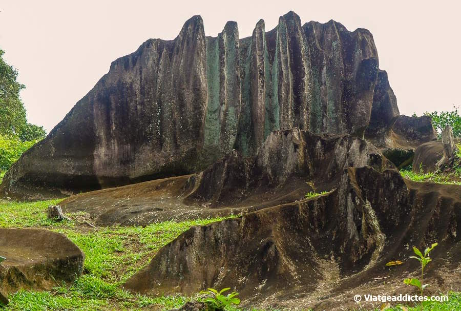 Afloraments de gabres al llarg de la Promenade des Gabbros» (Fa'aroa, Ra'iātea, illes de la Societat)