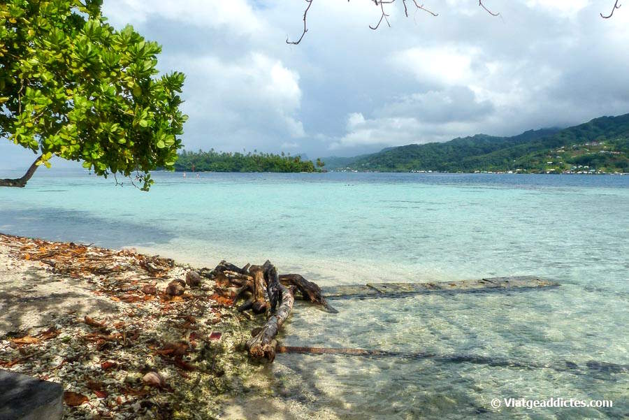 Vistes sobre el pas de Teavapiti, un petit illot i l'illa de Ra'iātea al fons (Ofetaro, Ra'iātea, illes de la Societat)