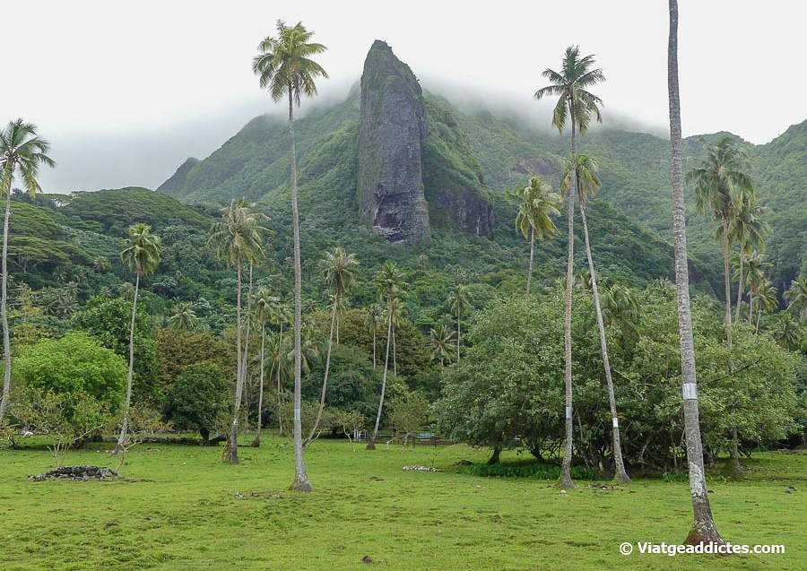 Formació rocosa visible en la costa sud de Ra'iātea (Taputapuatea, Ra'iātea, illes de la Societat)